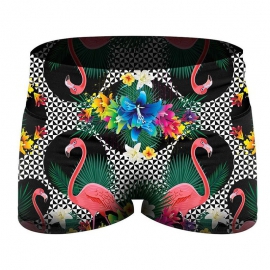 Women Crossfit Short